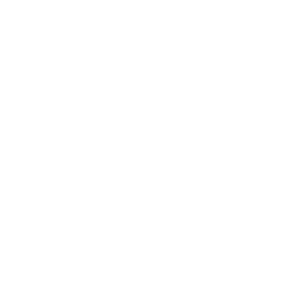 Casco Bay partner diesel engine fuel injection repair testing test rebuild maintenance mechanic transmission YANMAR dealership partnership marine dealer near me
